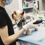 Dlaczego aspirator ustny to must-have w każdym szpitalu?